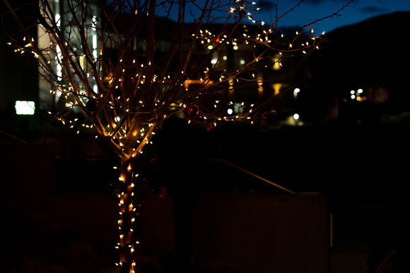 MAC_Christmas_Tree_Lighting-1