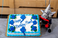 Blaster+PCJ-Birthday-cake